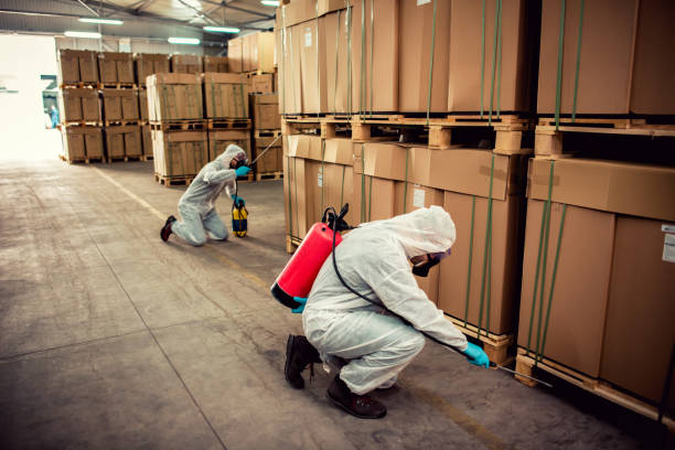 Trusted White River Junction, VT Pest Control Experts