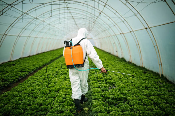 Best Local Pest Control Services  in White River Junction, VT