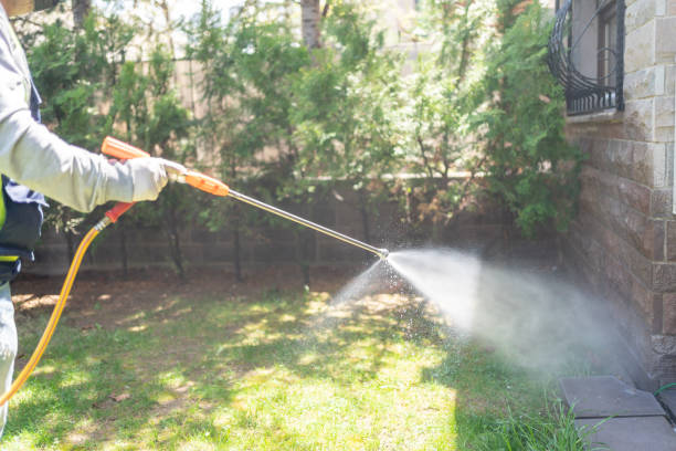 Best Affordable Pest Control Services  in White River Junction, VT