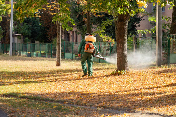 Best Pest Control Near Me in White River Junction, VT