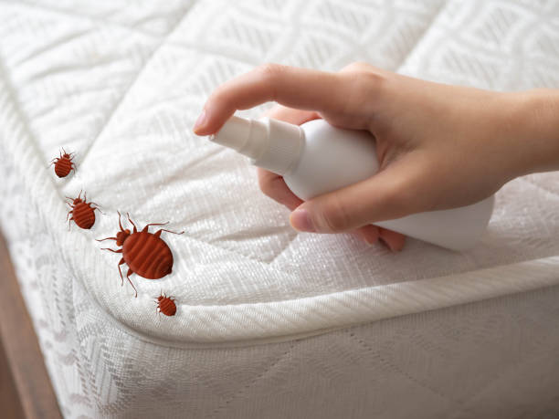 White River Junction, VT Pest Control Company