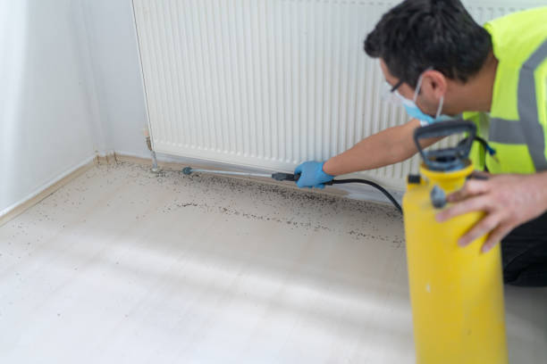 Pest Prevention Services in White River Junction, VT