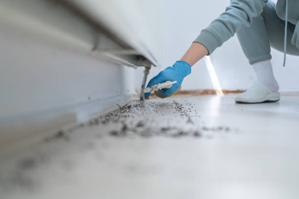 Pest Control for Restaurants in White River Junction, VT